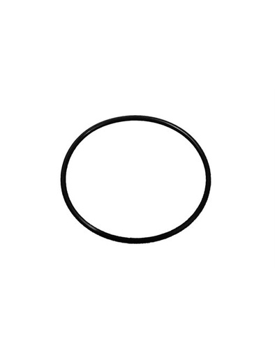 [10074870] O´ring (copia)